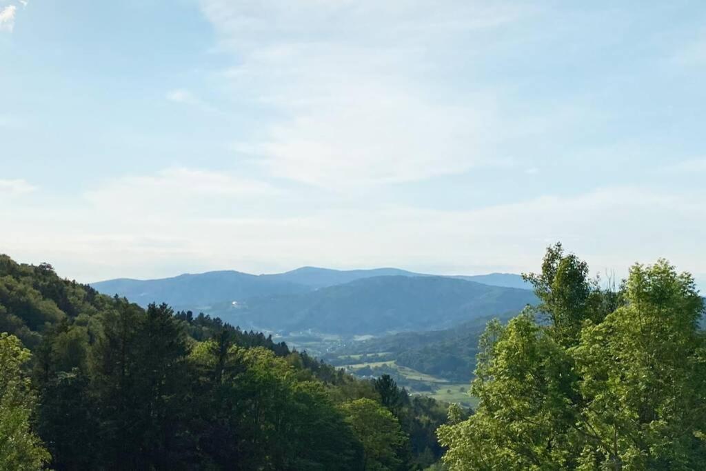 Mitten Im Bayerischen Wald + Schonblick + Urig + Netflix Schöfweg Extérieur photo